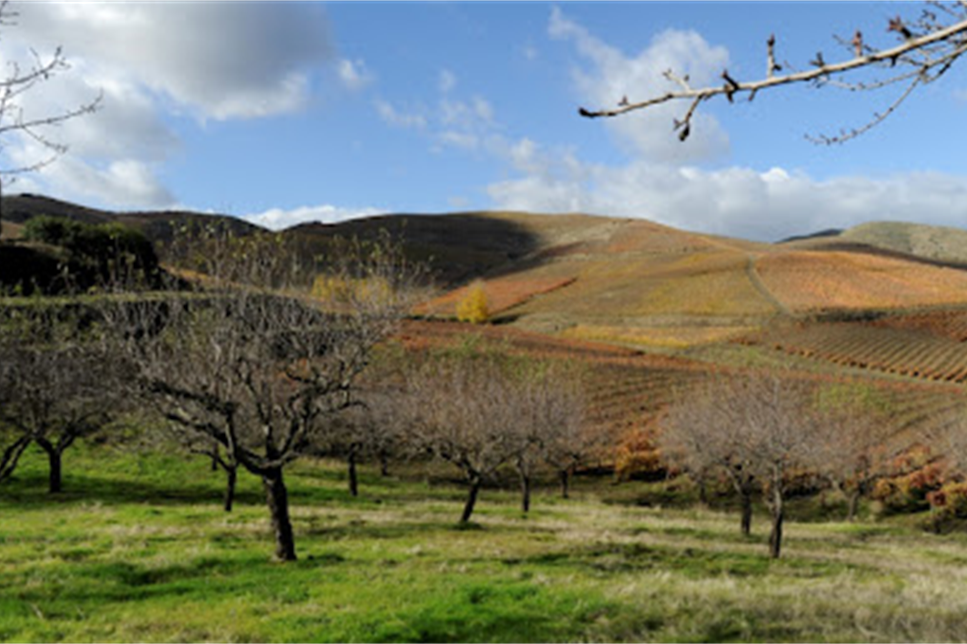 Territórios de baixa densidade Eirostec